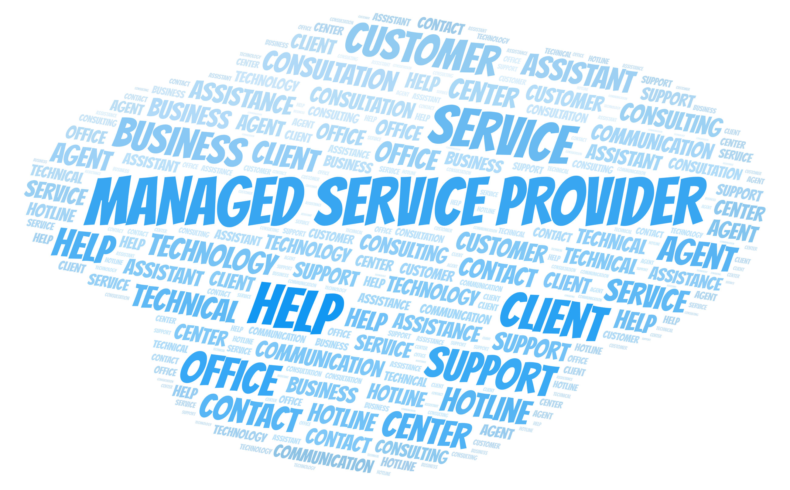 Managed Service Provider