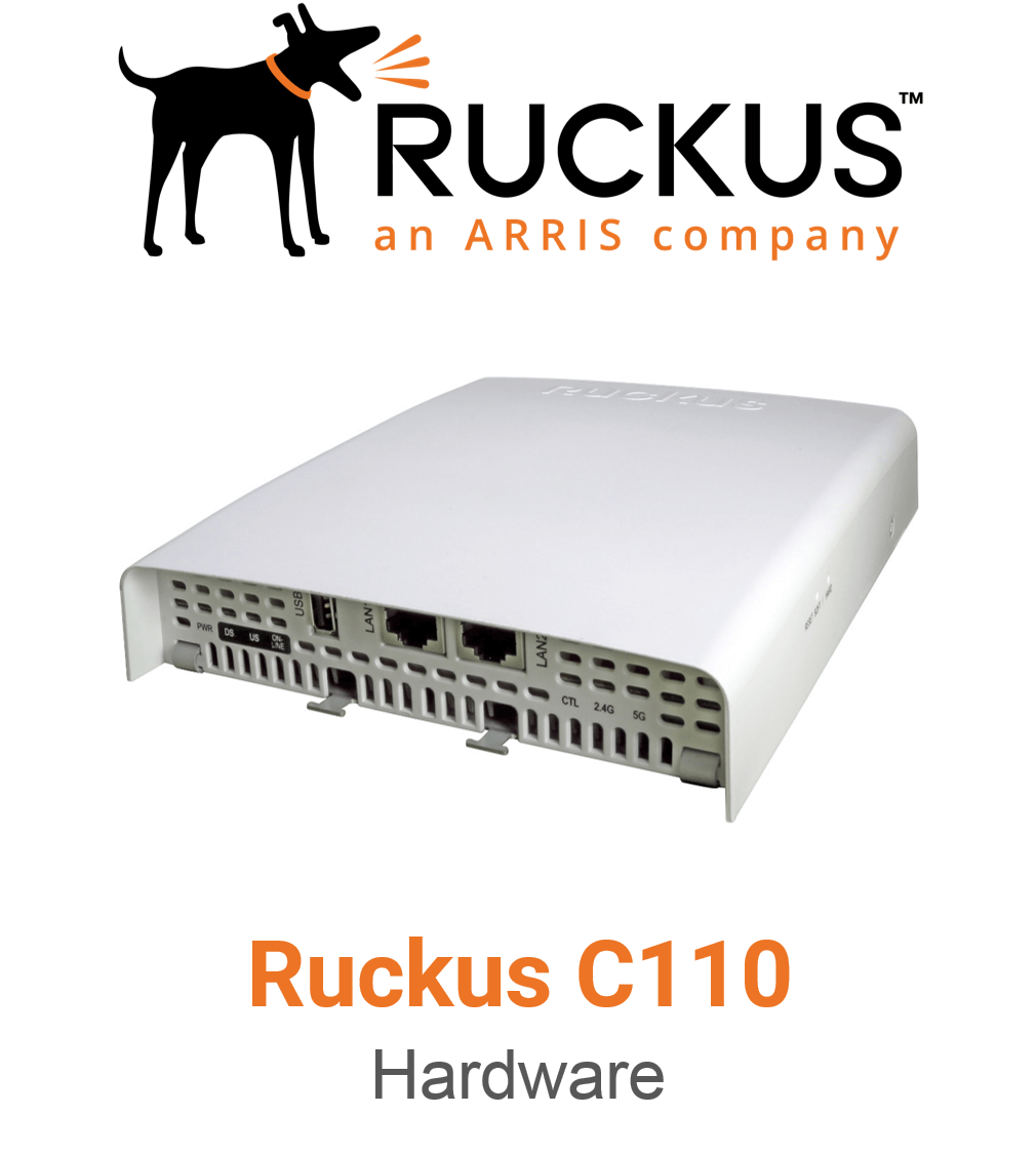 Ruckus C110 Spezial Access Point (End of Sale/Life)