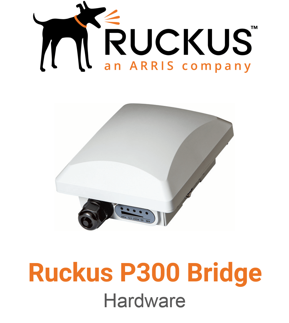 Ruckus P300 Spezial Access Point Lizenz