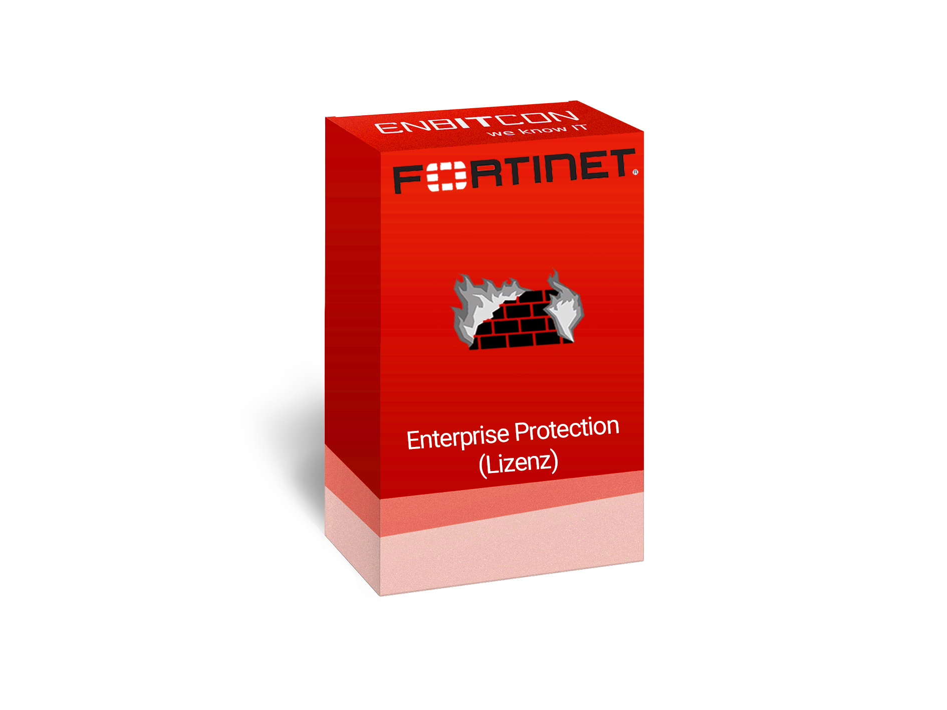 Fortinet Enterprice Protection Lizenzbox