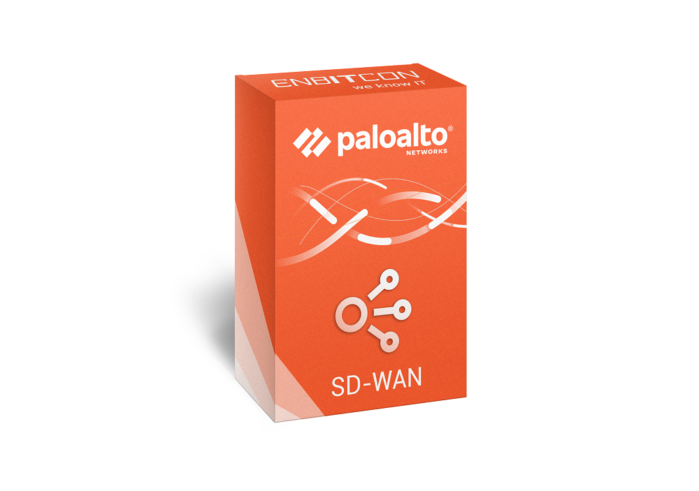 Palo Alto SD-WAN Lizenz Box